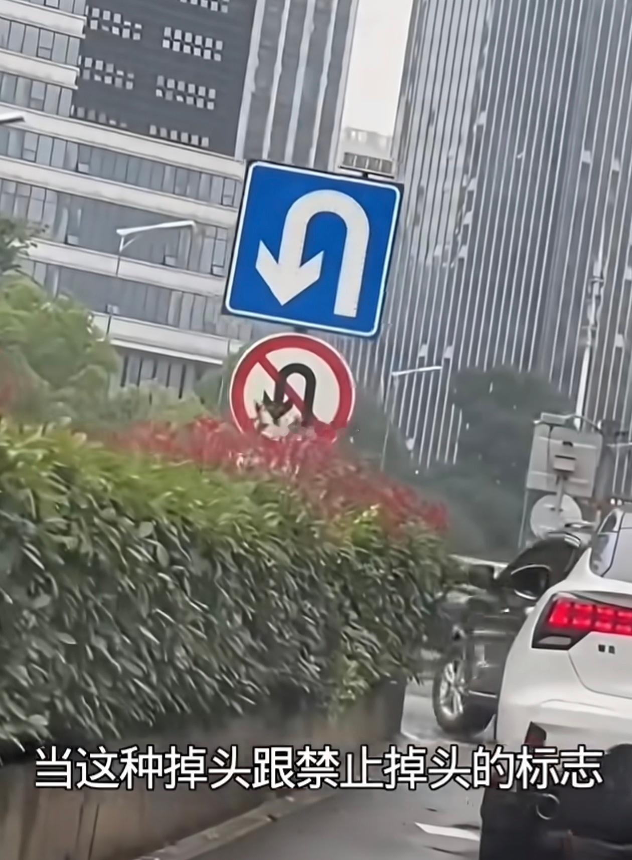 你开车时路口看到这种“掉头”与“禁止掉头”的牌子同时存在，不是交管部门搞错了，而