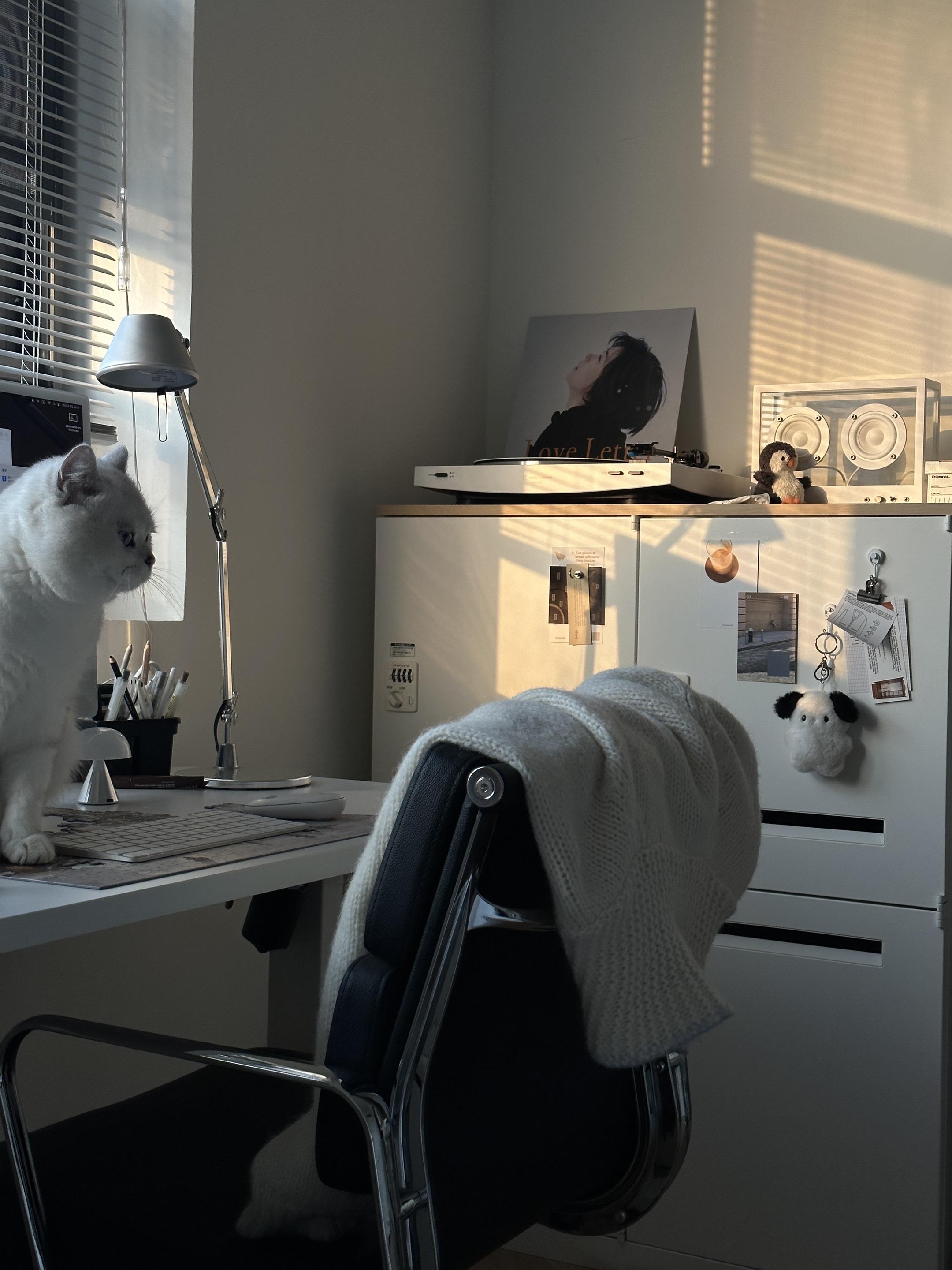 冬天只想宅在我的小房间里。