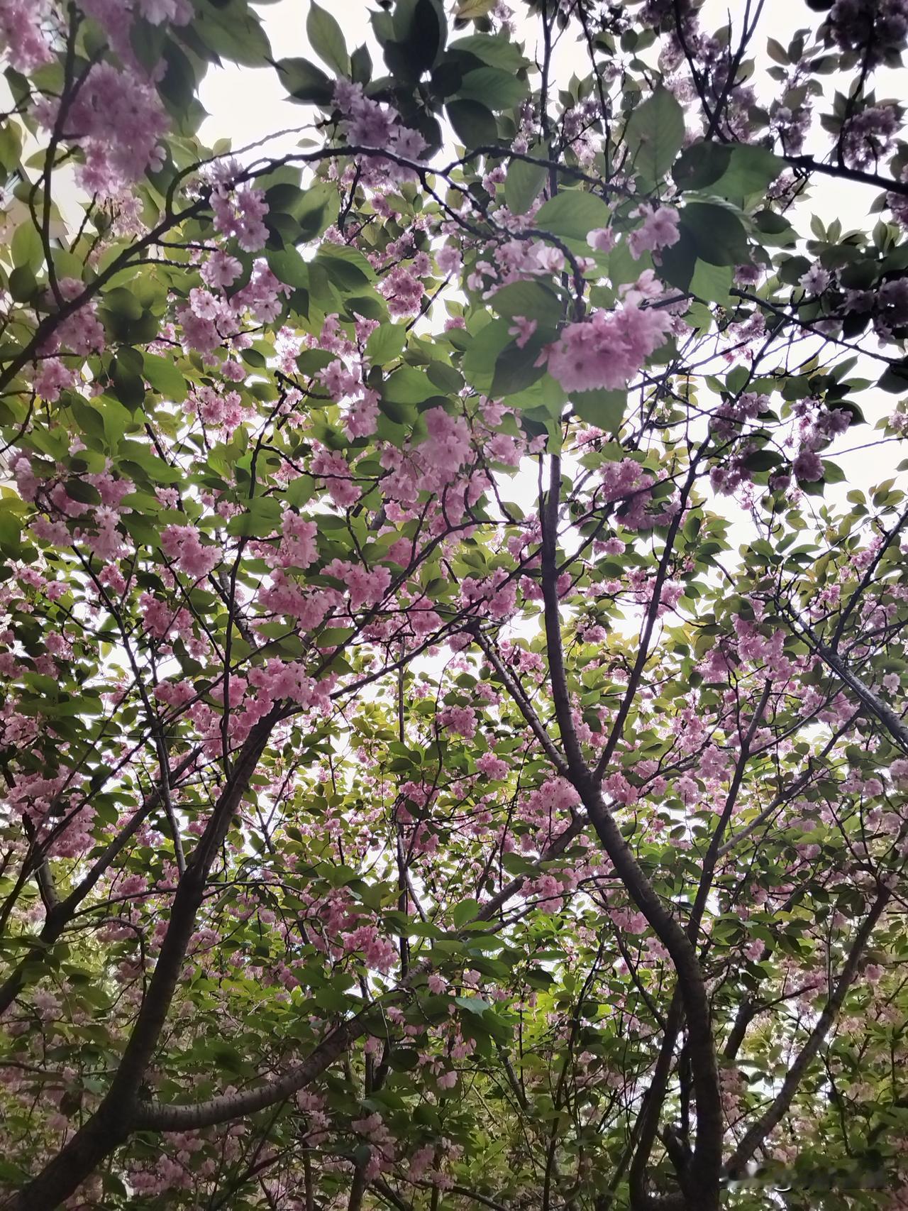 藏于身侧的四种温柔，读懂身体里的幸福私语人心的悲欢起落，从不是无端而生，身