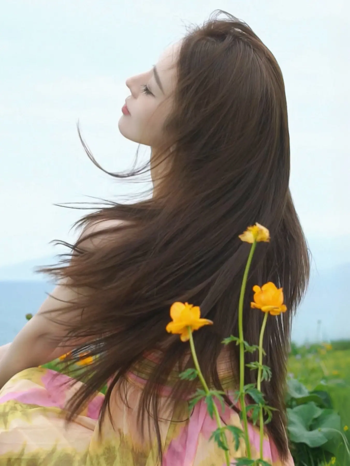 🌼六月的小黄花 真的很难忍住不发。