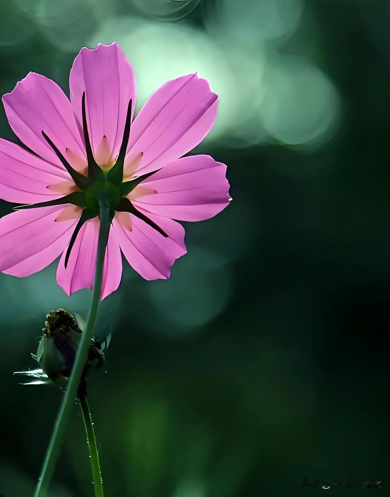 尽量少跟人打交道，不是凉薄，是为了保命有条件的话，尽量不要跟人打交道，不是