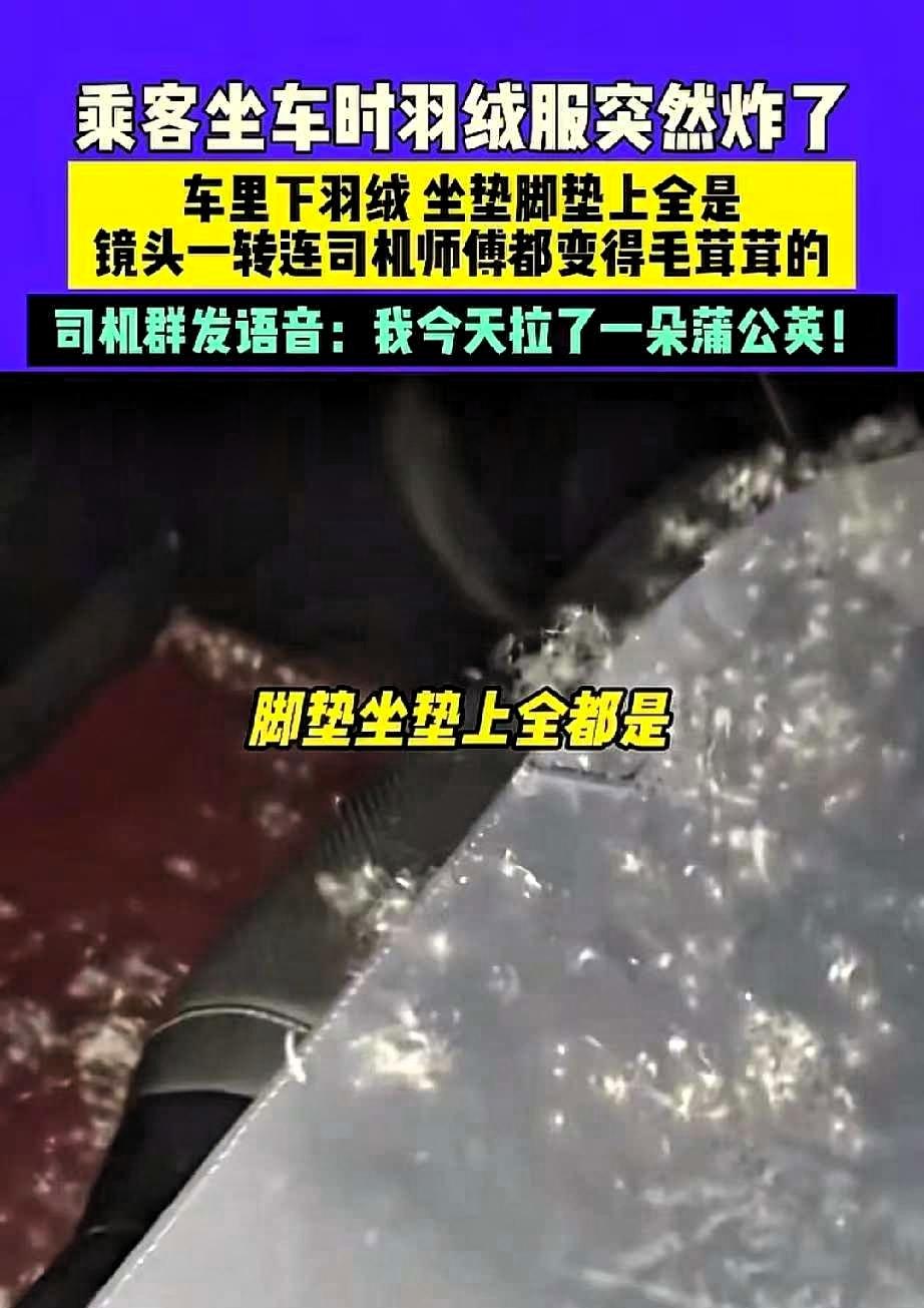 笑不活了！河北一女生打车回家，坐上车没多久，就听见“嘣”的一声，身上穿的羽绒服炸