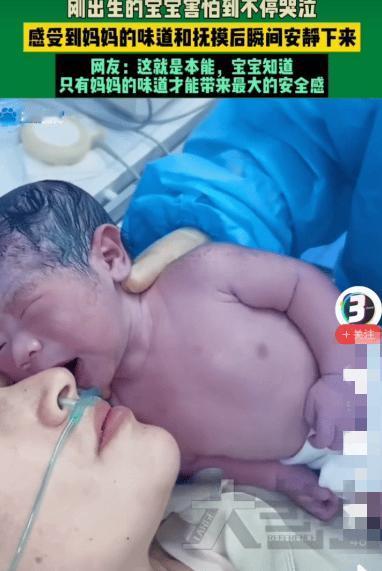 “解释不清了！”近日，山东的一家医院里，一个刚出生宝宝，突然离开妈妈的身体，小家