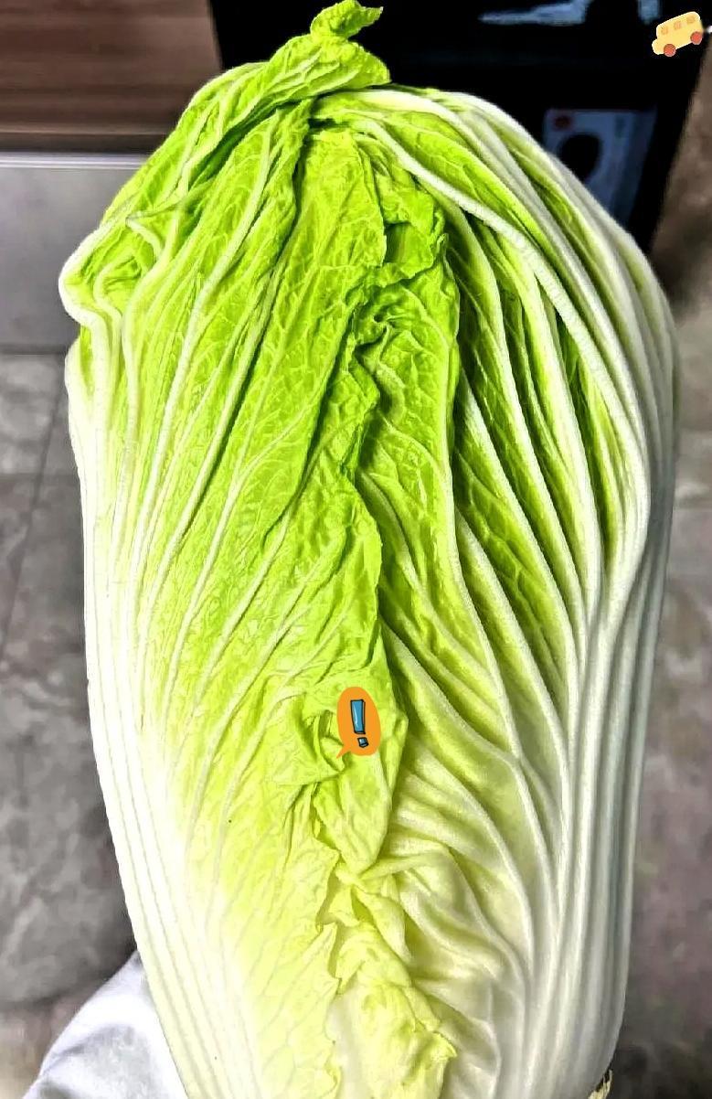 去二姑家开口借两万块没借到，临走她却硬塞我一颗大白菜，走在路上心里五味杂陈，越想