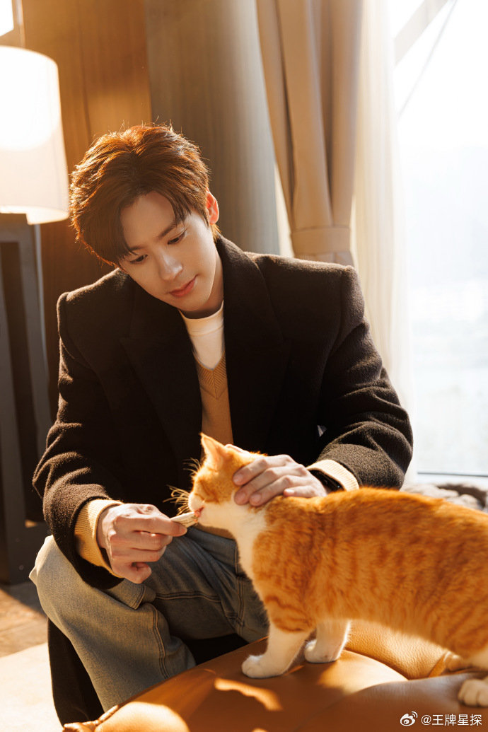 魏哲鸣人脉魏哲鸣摇人魏哲鸣新剧《你是迟来的欢喜》今日开播，魏哲鸣摇人摇来了：白鹿