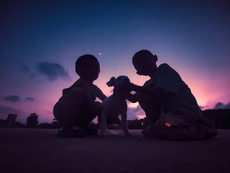人到中年朋友越来越少甚至没朋友，其实是生活无奈的写照。中年时，家庭和工作像两座大
