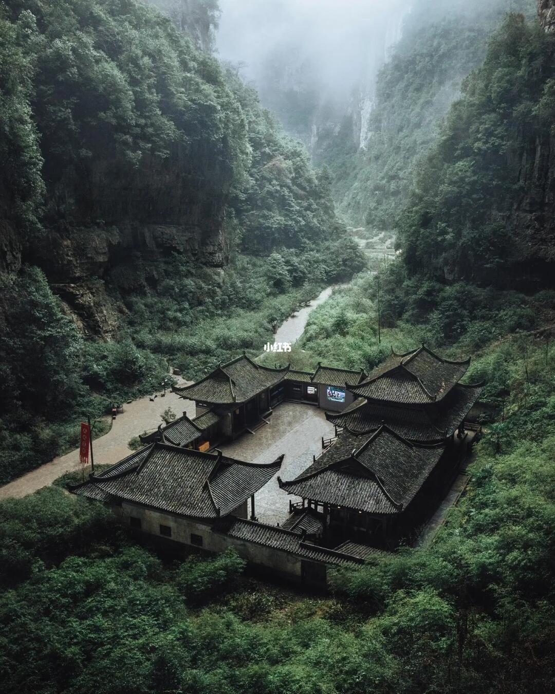 审美提升|每天认识一位摄影大师201