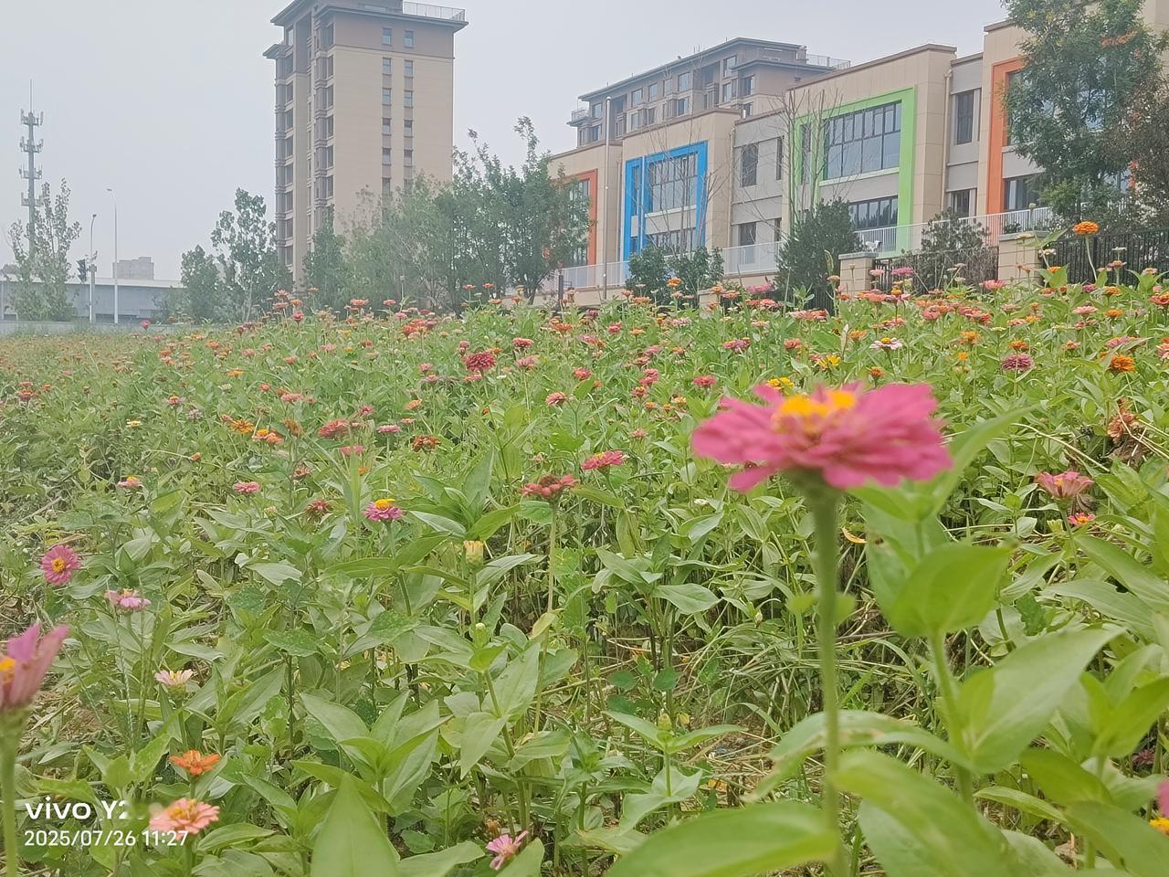 如果有人给你一个亿，条件是让你改姓，你会愿意吗？要是给我一个亿让我改姓，我一秒