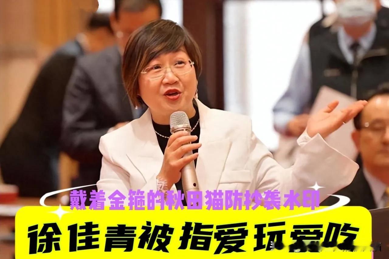 徐佳青被指“爱玩爱吃、啥都不会”，岛内媒体人谢寒冰讥讽：假公济私，她的公款出行，