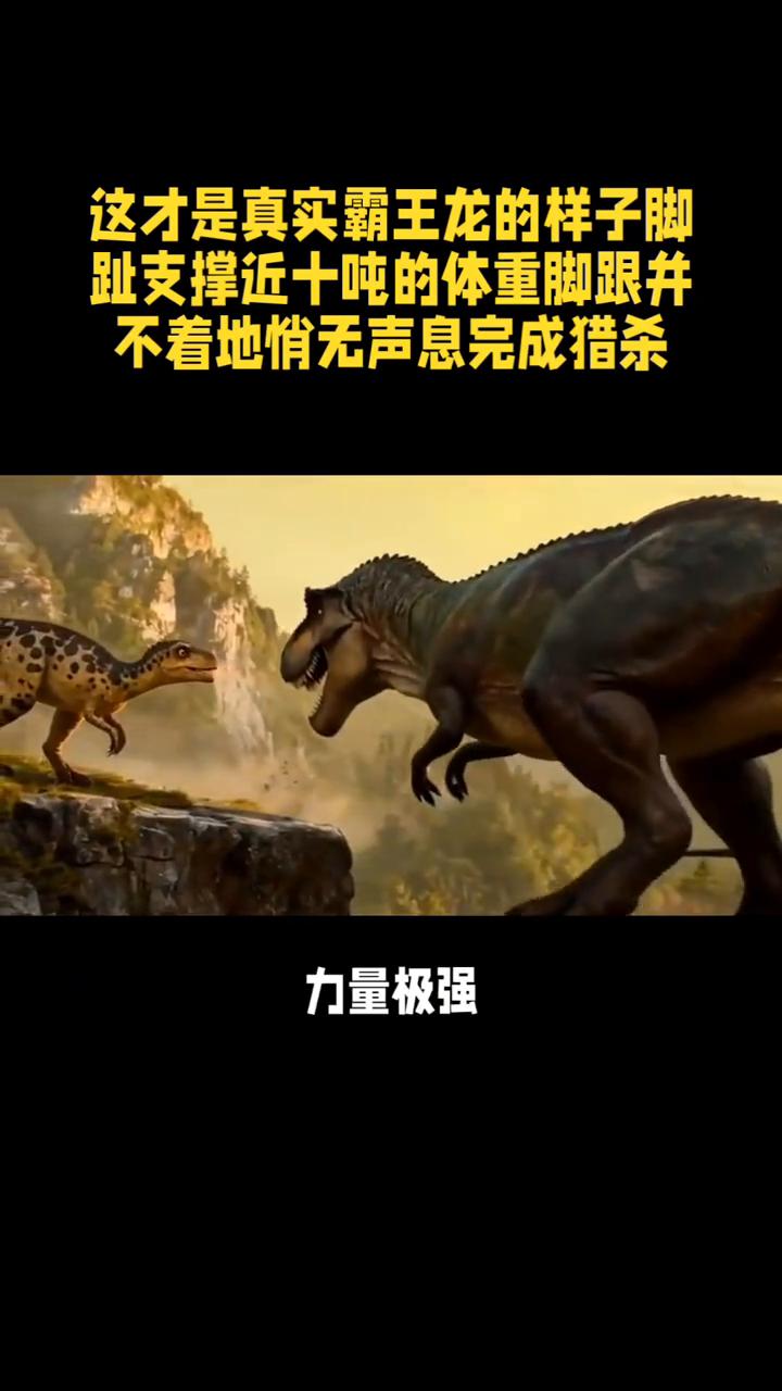 这才是真实霸王龙的样子。这才是真实霸王龙的样子，脚趾支撑近十吨的体重，脚跟并不
