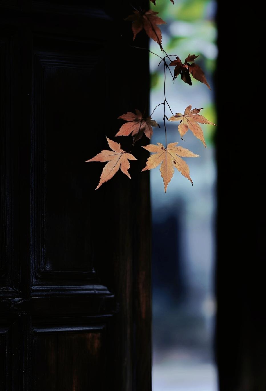 非常通透的一段话：“人这一辈子，别得大病，少生小病，饿时有饭吃，困时睡得着，钱