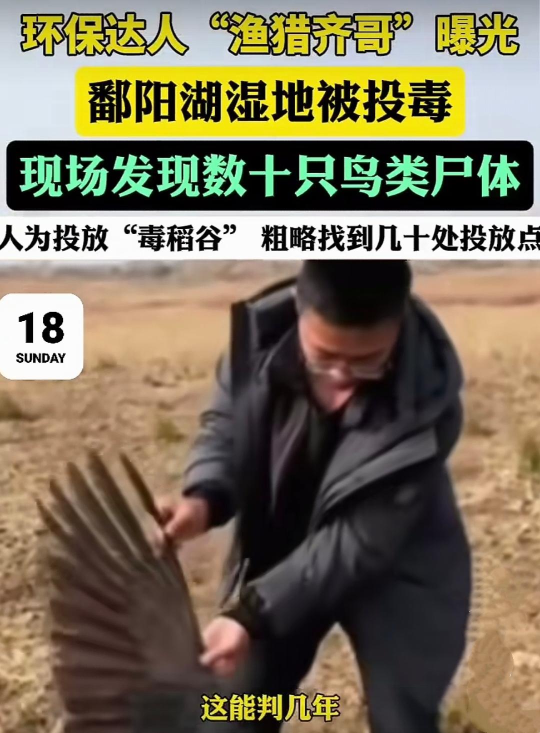 缺德到家了！必须严惩！近日，环保达人“渔猎齐哥”曝光，潘阳湖有人公然投毒。