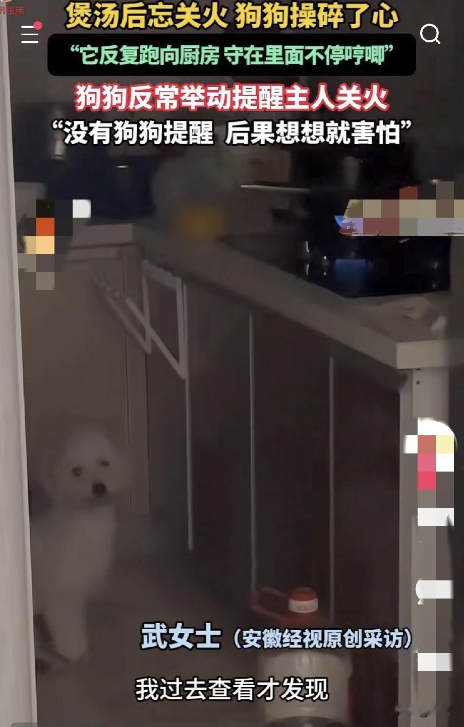 近日，重庆的武女士晚上在家煲汤，忘了关火，她就回到客厅准备洗漱睡觉。这时她就发