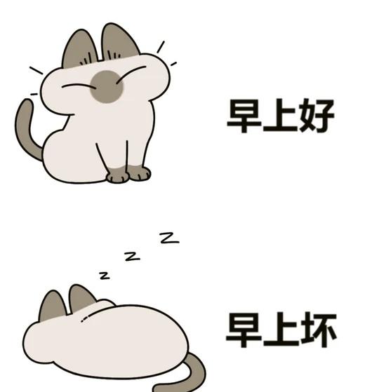 早上……早上一点也不好喵！豆泥梗图305/1000暹罗猫小豆泥小豆泥