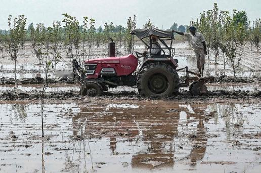 粮食这么重要，为什么全世界的农业都不挣钱？农业的成本就像一张越收越紧的网，把