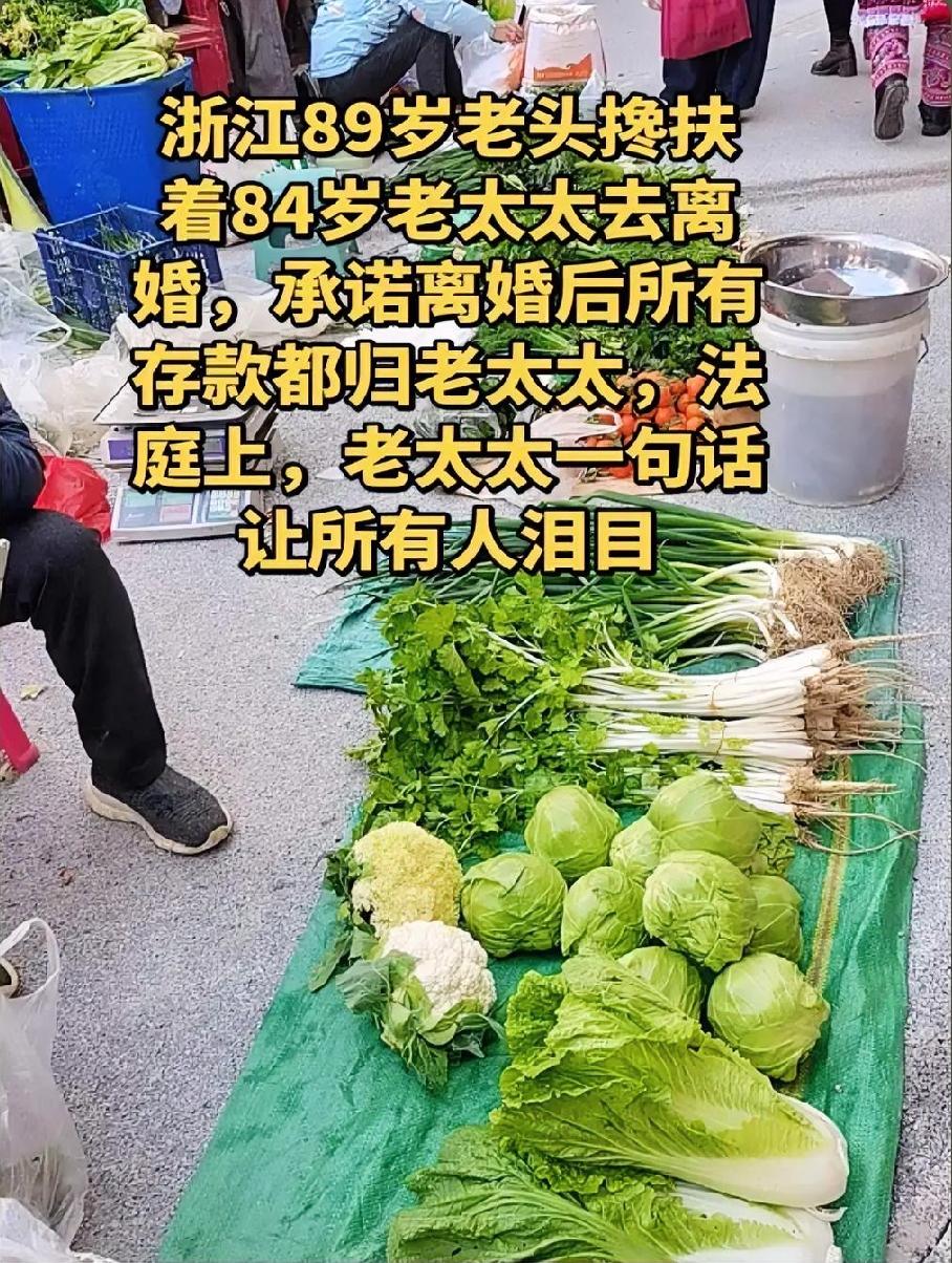 八旬半路夫妻搀扶离婚，无争吵只剩不舍，养老难题引人深思法庭里一幕令人心头发