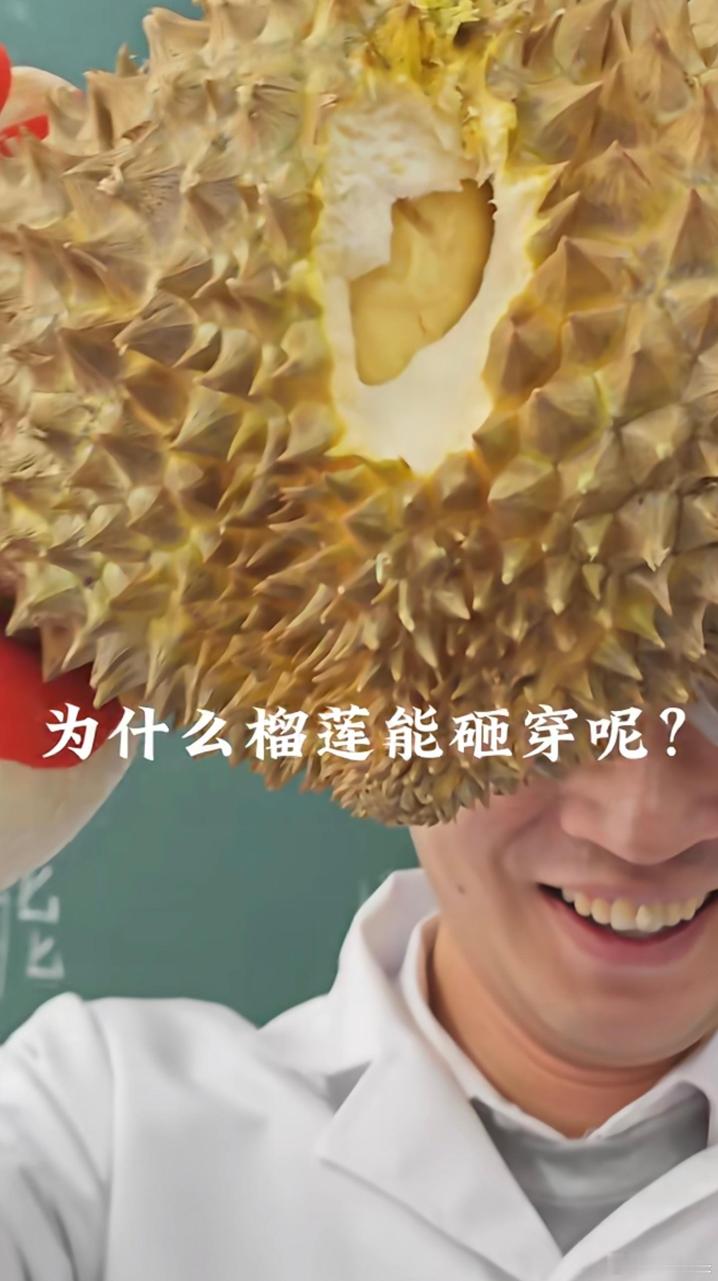 口香糖能扎穿榴莲，非牛顿流体原理，三折叠也用了这个原理