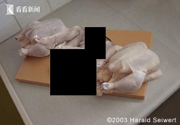 爱泼斯坦案惊爆新证据！两只鸡中间神秘黑影引猜测