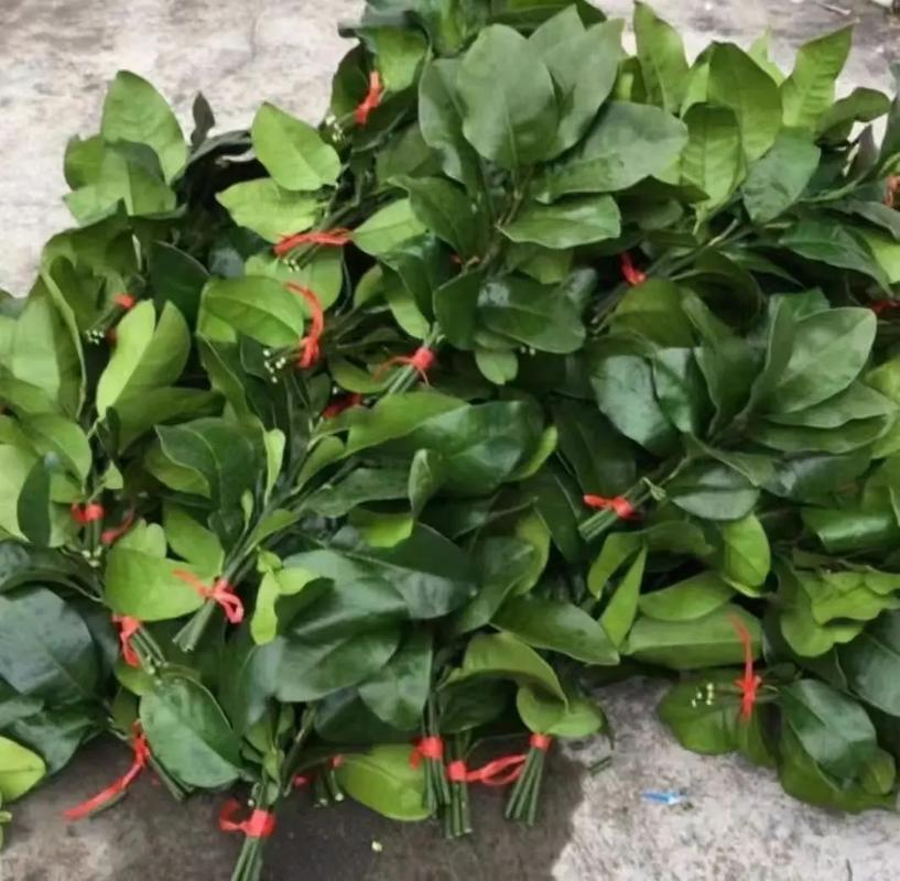 简单好用除晦净运法1.盐米化煞粗盐与白米1:1混合，装碗放阳台晒三天，后撒入