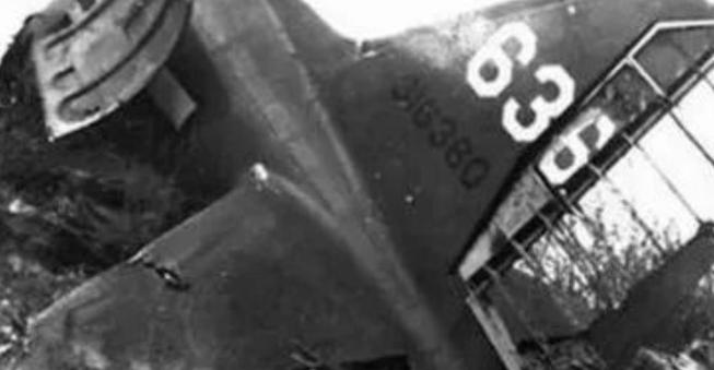 1946年，叶挺将军所乘飞机坠机，失事原因一直是谜，直到2006年，一位普通农村