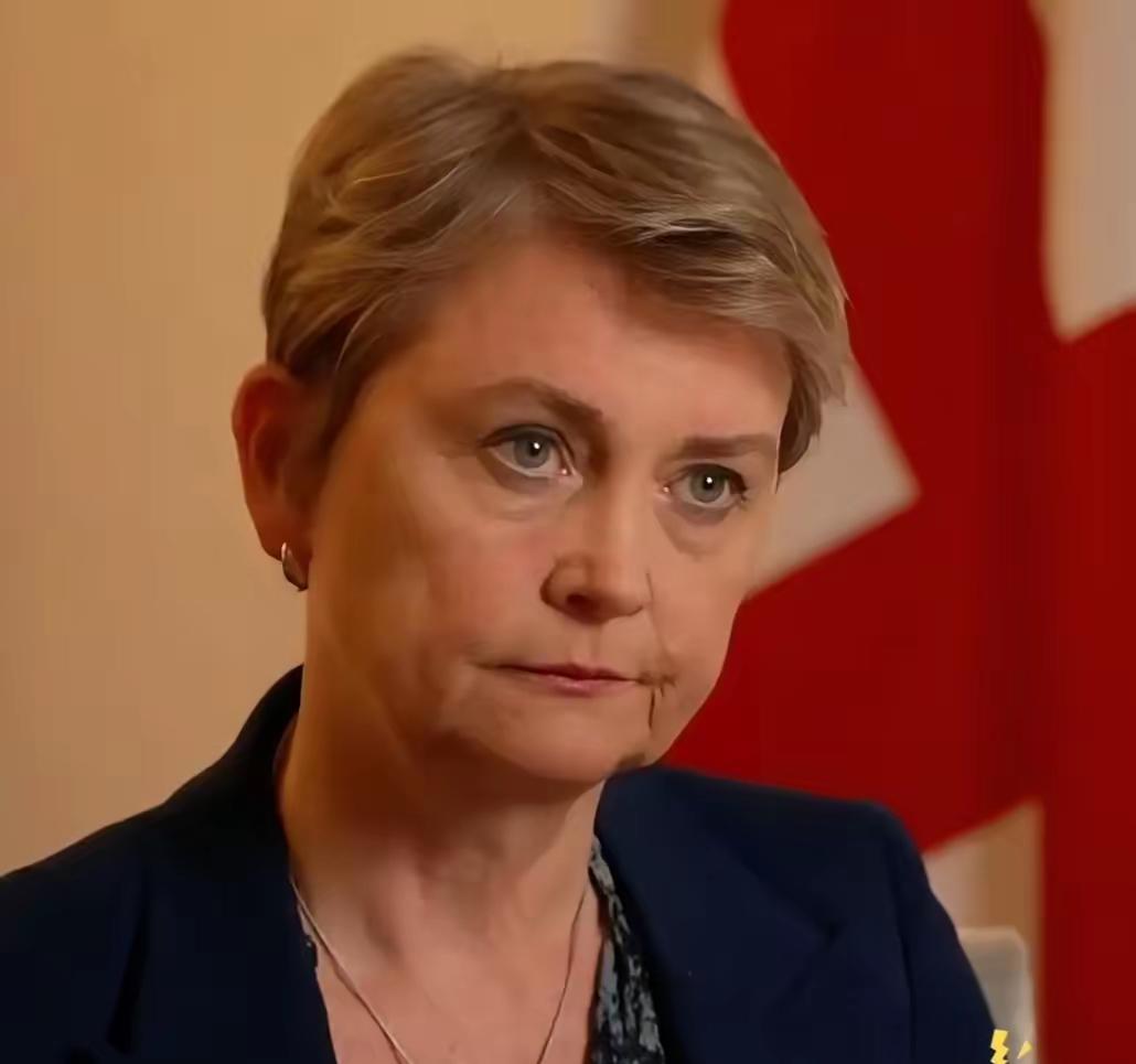 就在刚刚英国外交大臣伊薇特·库珀向以色列发出直接警告，明确表示不得因英国承认巴