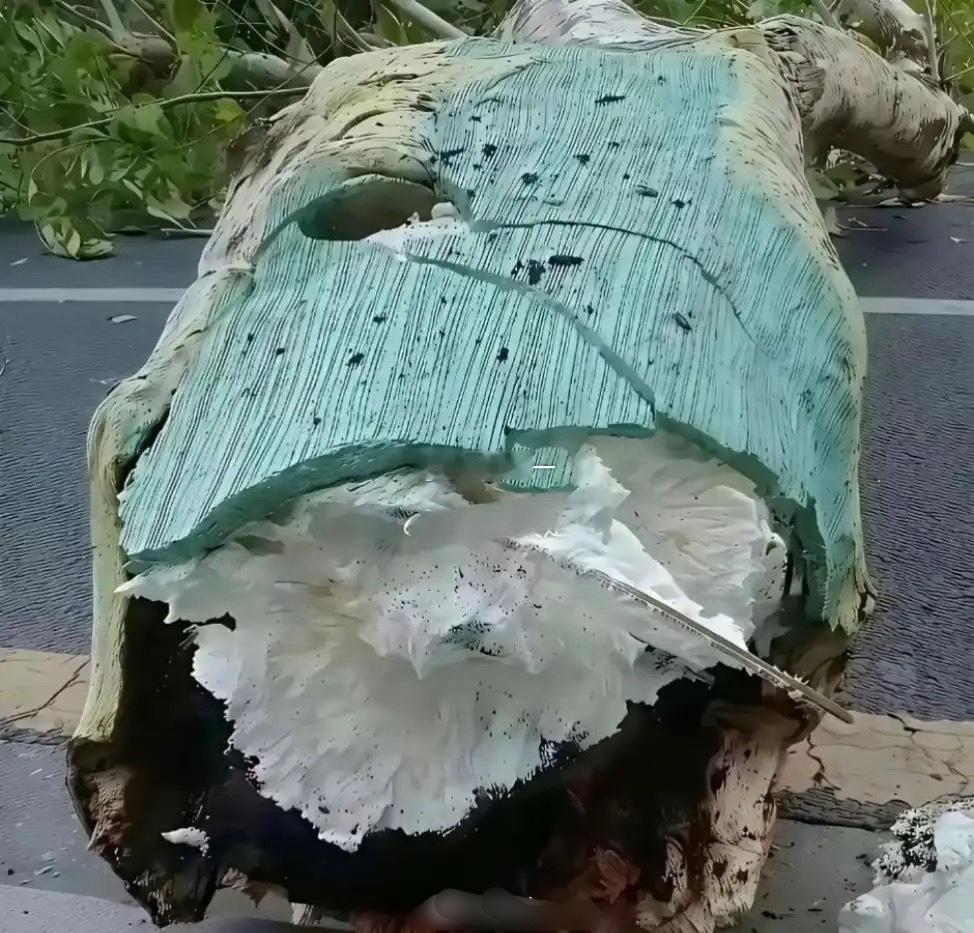 现在还有什么是真的​​​