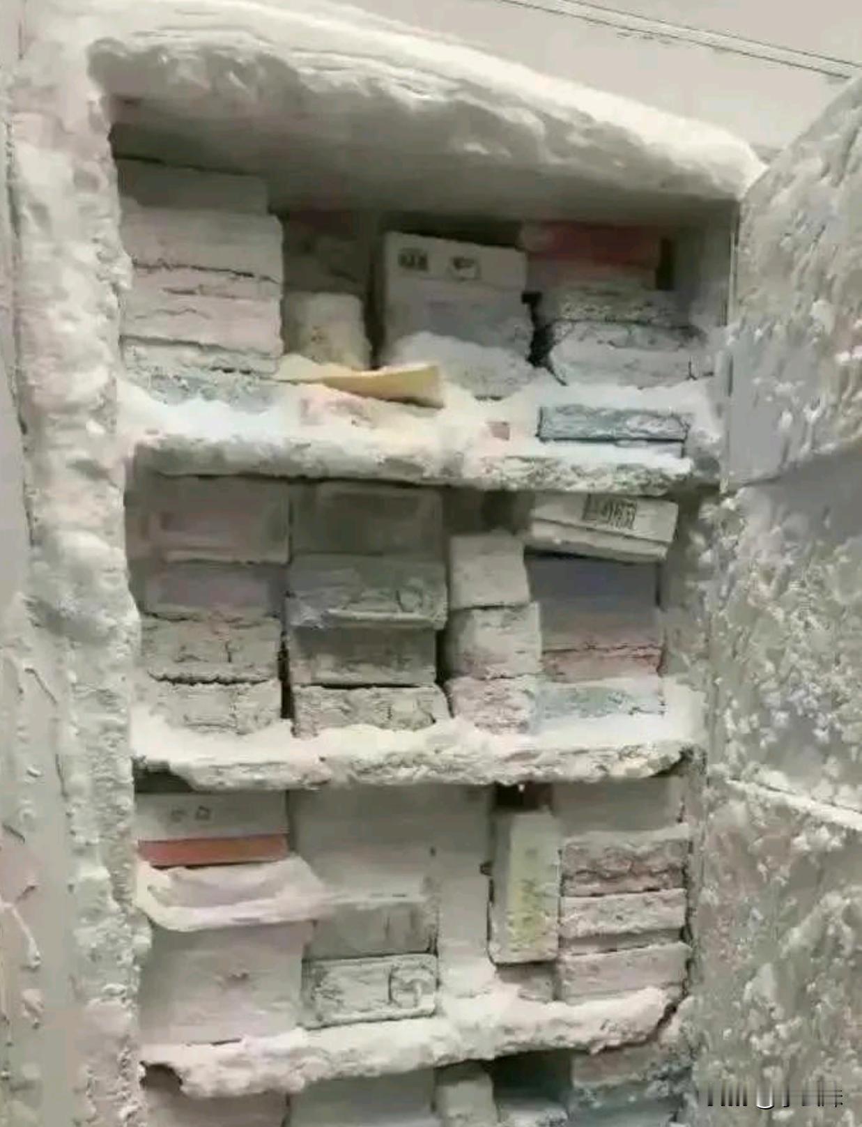 冰箱忘了关门，然后就这样了