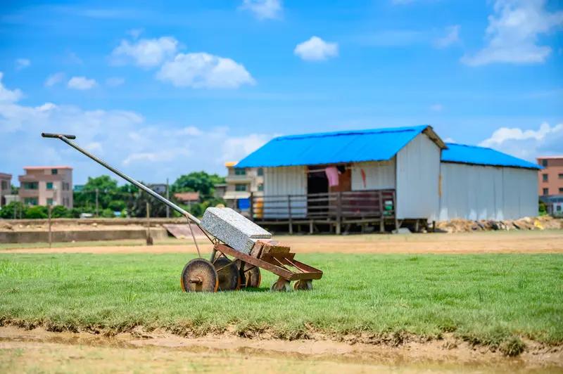 男子掉入草场粉碎机身亡！这事儿听着就让人揪心。妻子哭诉，婆婆亲眼目睹那惨烈一幕，