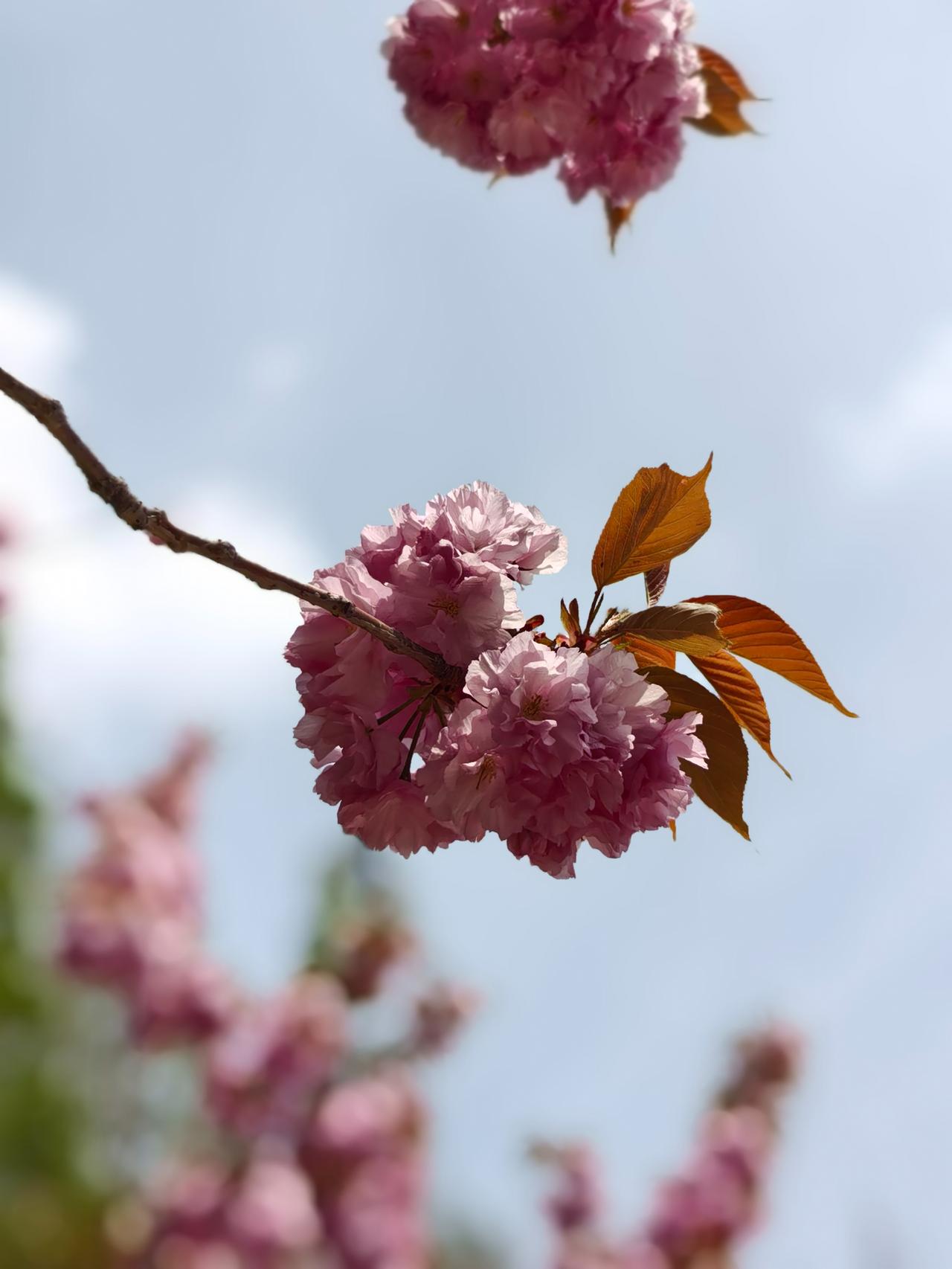 赡养老人到底难不难？要取决于以下几个方面：1、老人的状况。如果老人身体健