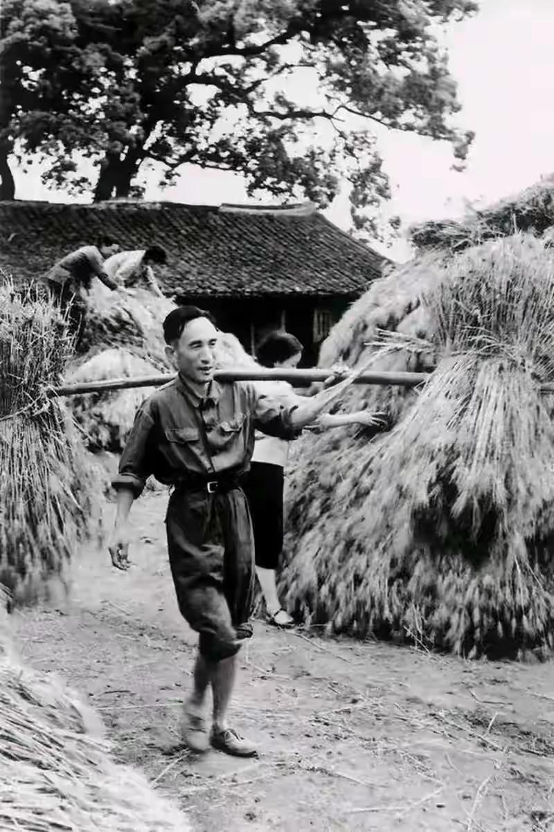 毛主席高明之处：让干部下地干活，根本不是形式，是防变质、防变坏。当年毛主席一再强