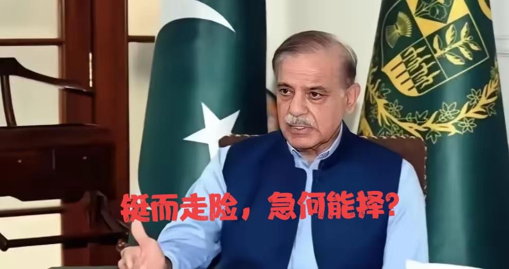 玩火自焚？巴基斯坦总理谢里夫1月21日在达沃斯签署了由特朗普主导的“和平委员会