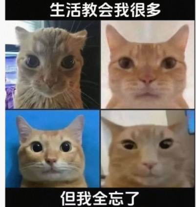 生活教会我很多