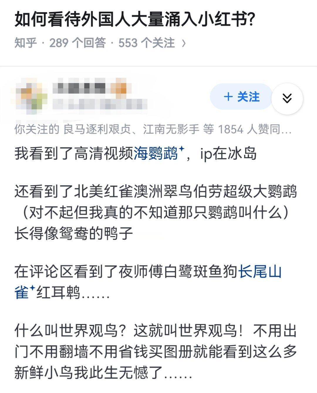 如何看待外国人大量涌入小红书?