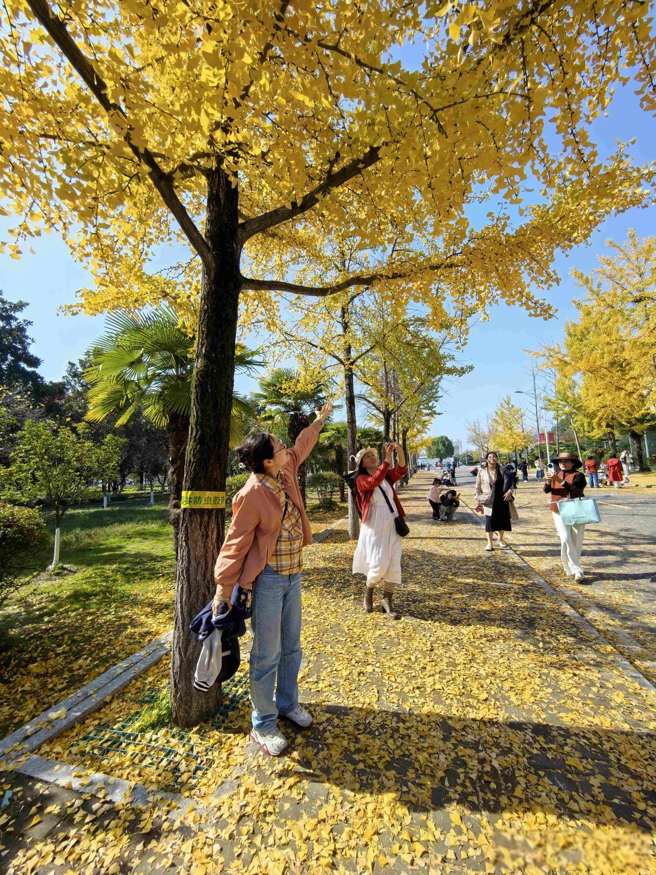 朋友确诊乳腺癌。我去看望她，她哭着对我说:“我应该听你话，不该吃雌性激素。医生说