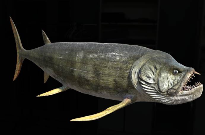 阿根廷发现巨型鱼类, 是白垩纪最恐怖的鱼类之一, 牙齿跟针那么尖