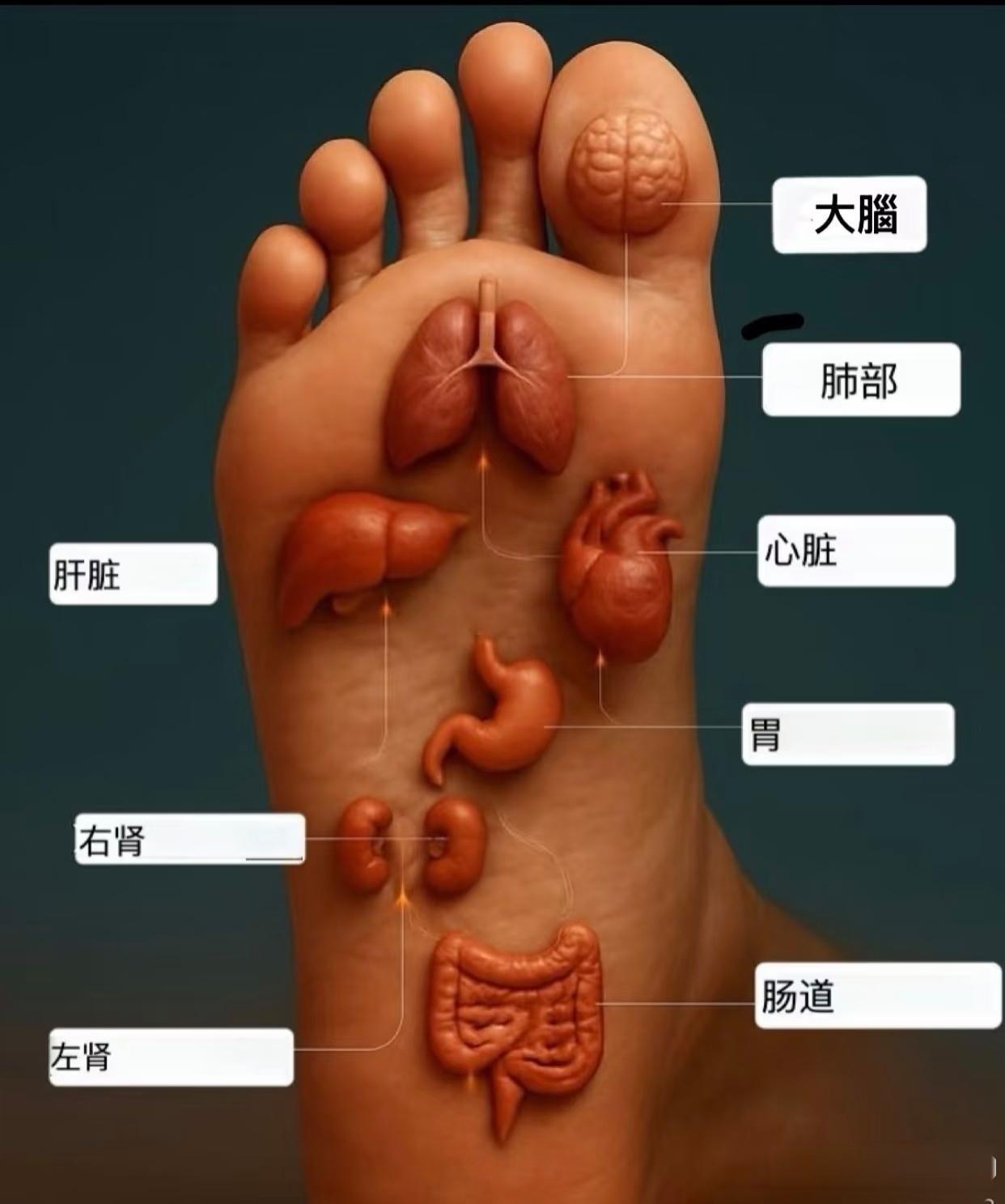 脚底按摩很重要，每天泡脚，把健康做起来！