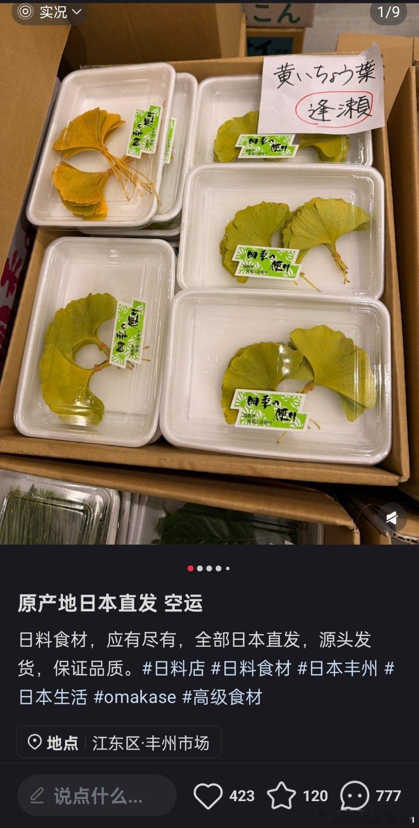 日料高级食材：福岛县的银杏叶