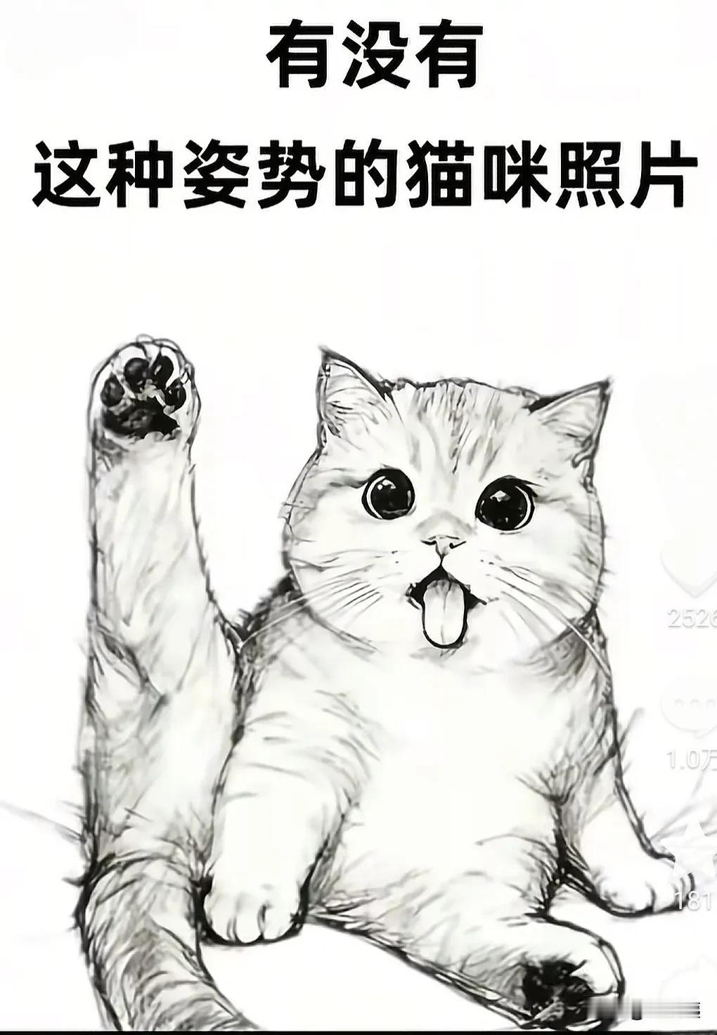 图一，有没有这种姿势的猫咪？[笑着哭]我先来，新鲜出炉的照片[呲牙笑]我家布偶2