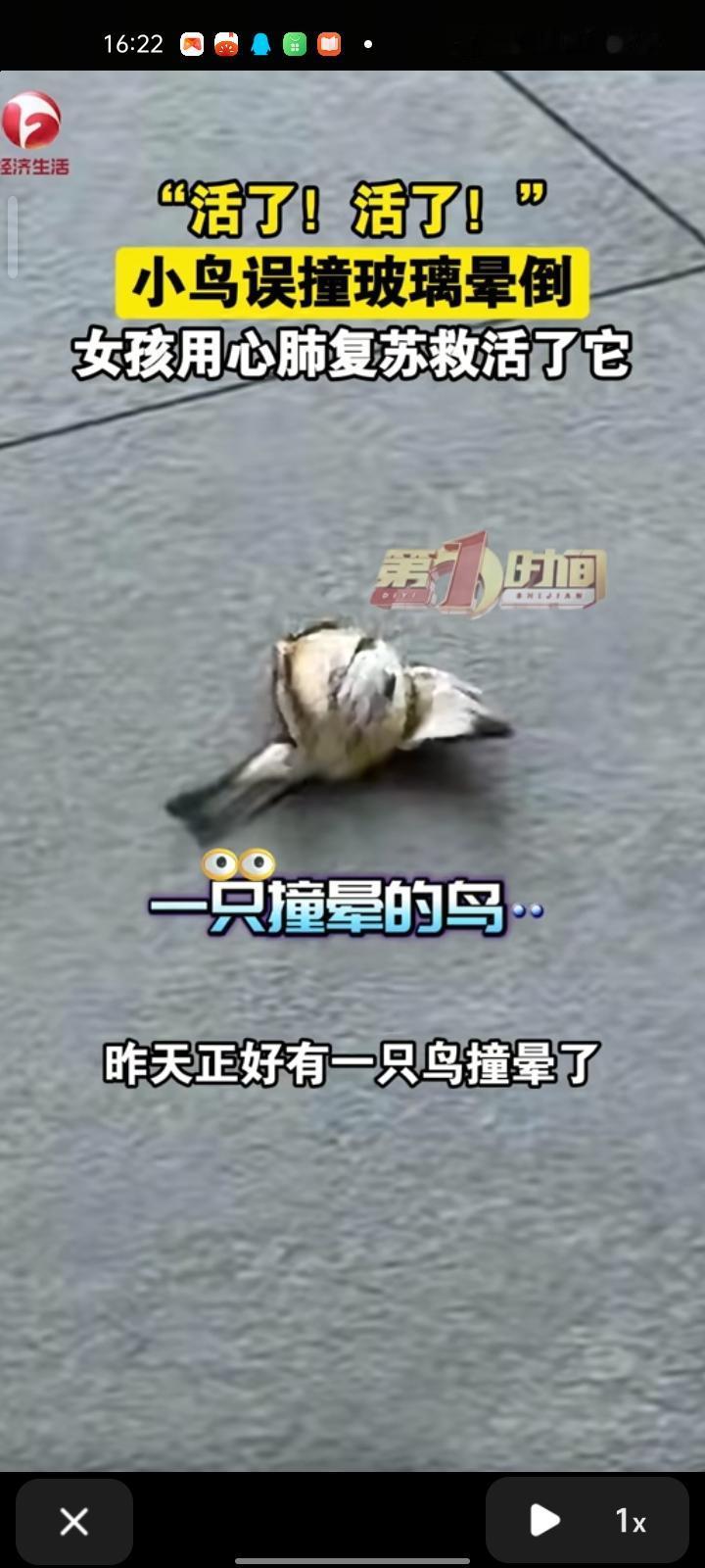 12月10日，安徽合肥。网友发视频称，因为售楼部玻璃擦的太干净了，绿化做的太好了