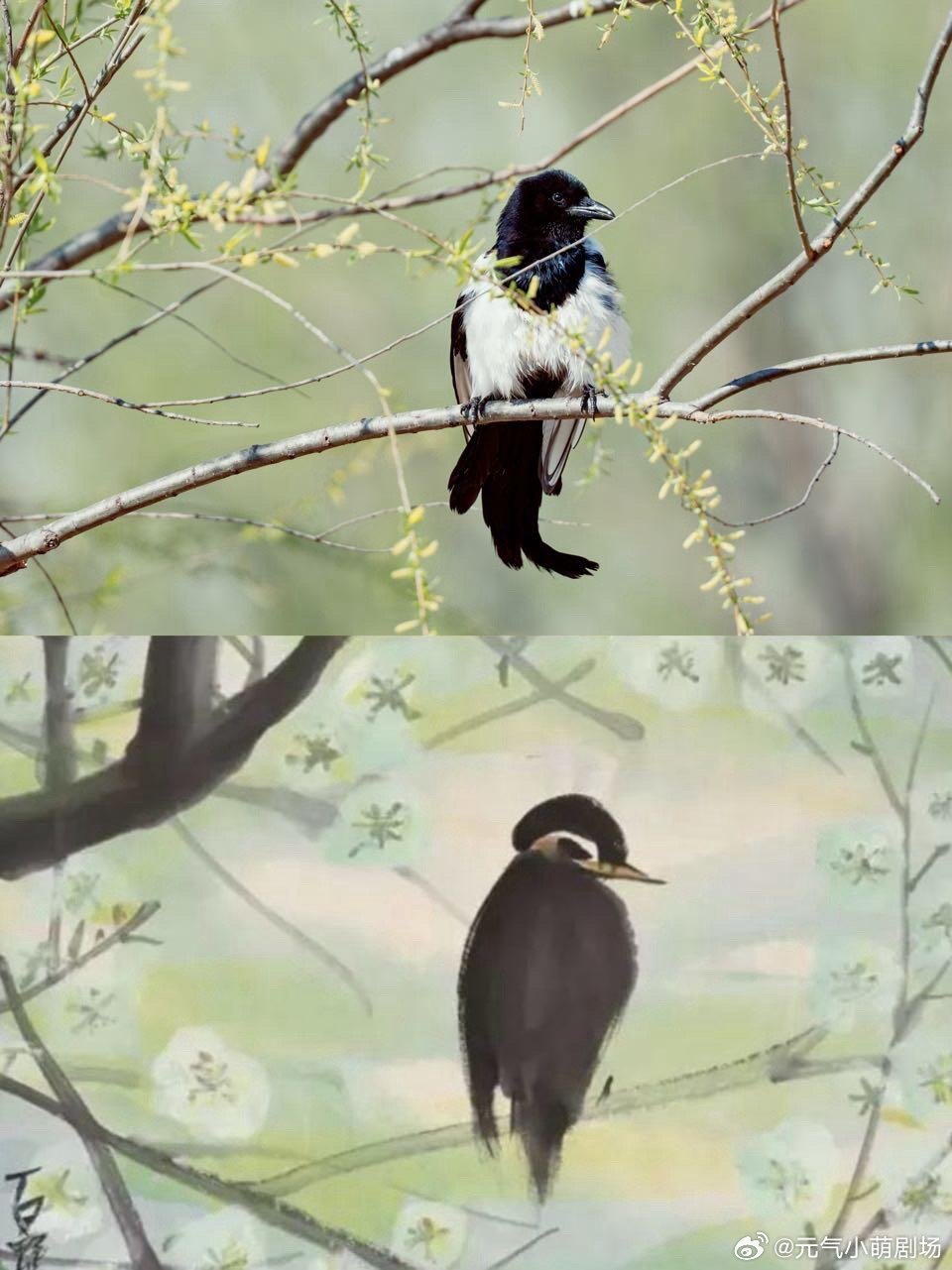 李现打鸟作品堪比大师画作你小子长得好看也就算了，审美还那么高