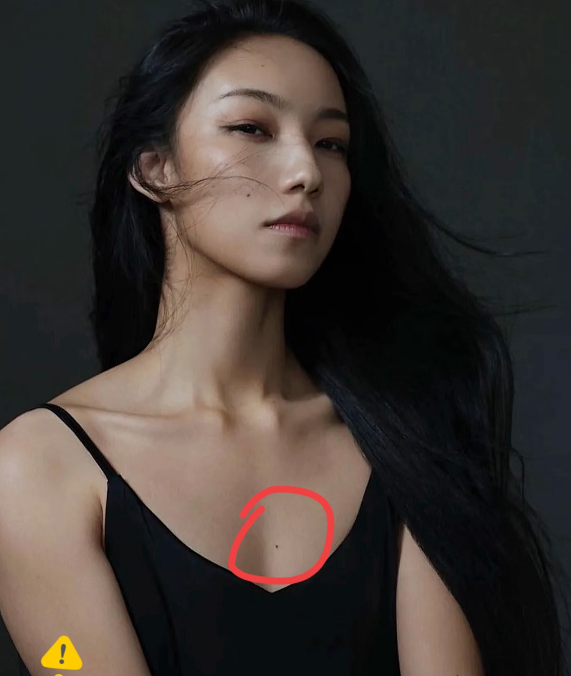 刚刚查了一下那尔那茜，不查不知道，一查才明白。那尔那茜的外公是内蒙古和平解放