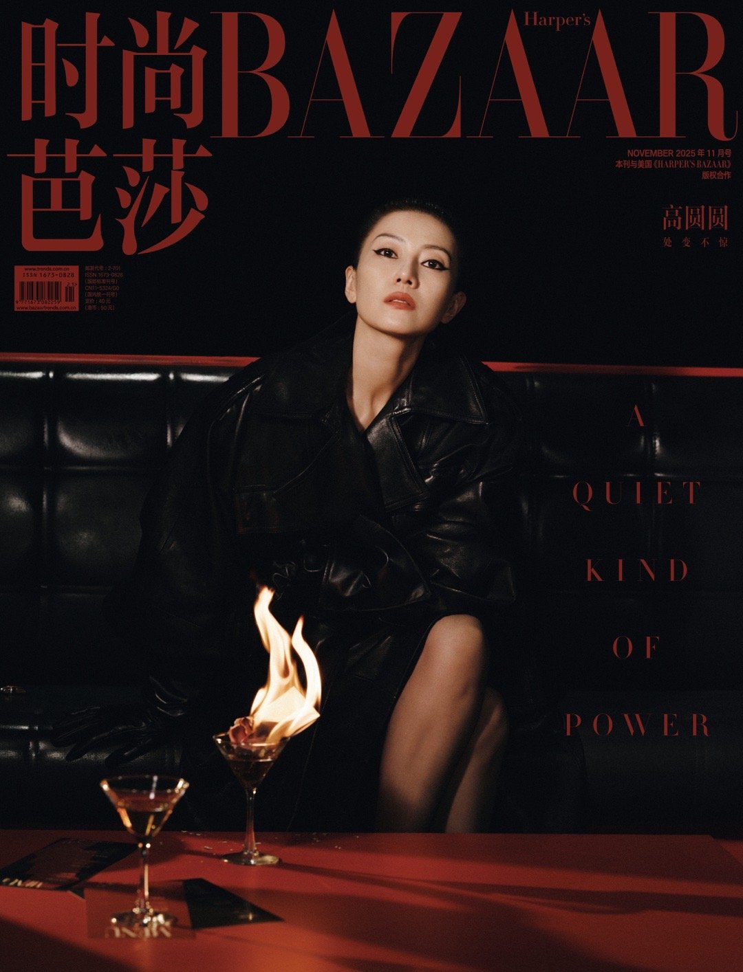 高圆圆你这是在玩火高圆圆在火光下优雅绽放，红唇与冷眸相映成趣，火焰中她的轮廓更