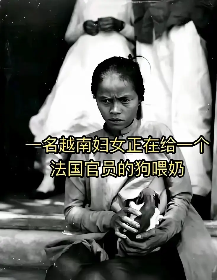 历史诚不欺我，你们说是不？