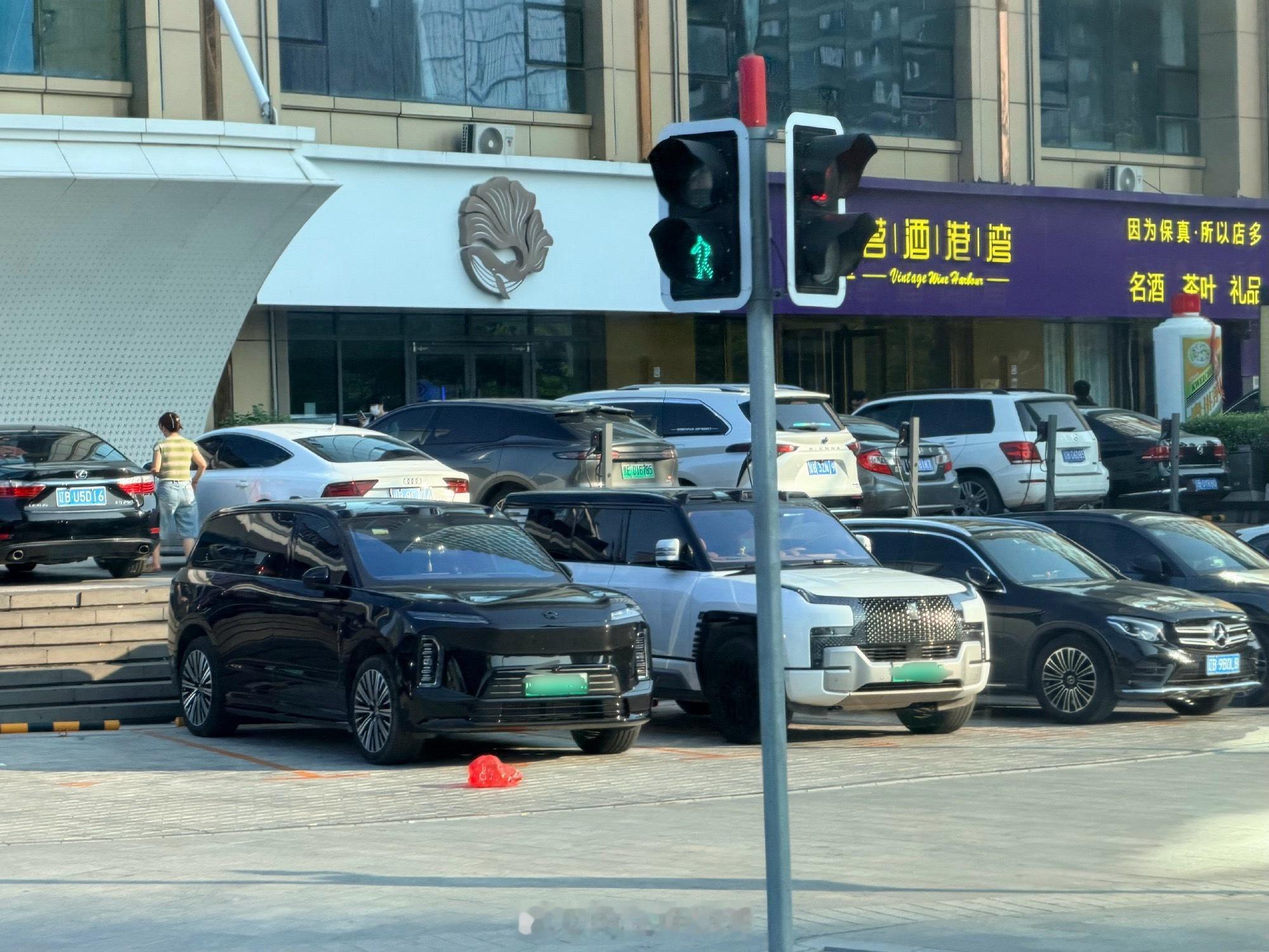 这气势谁也不输到了这个级别，不大怎么行蔚来汽车蔚来es9仰望u8