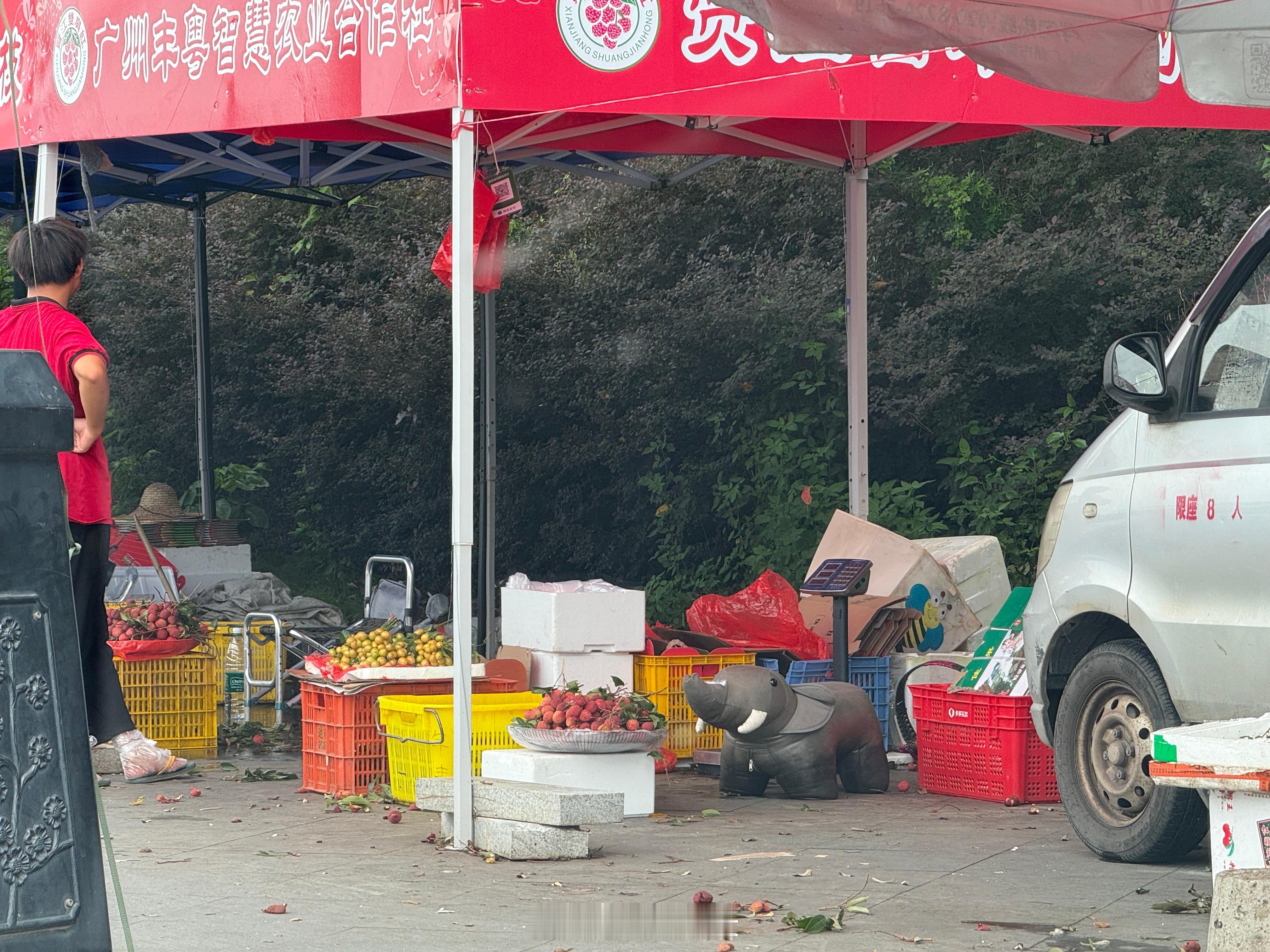 帮大家问了桂味5块，糯米糍7块，仙进奉10块[捂脸哭][捂脸哭]还是零售价​​​
