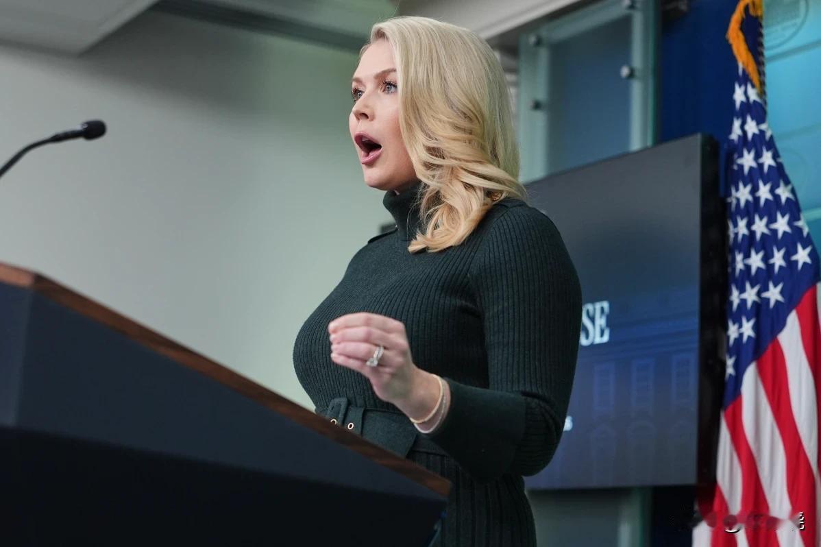 白宫新闻秘书卡罗琳莱维特关于亚历克斯·普雷迪新闻简报室回答记者问题，1月26日