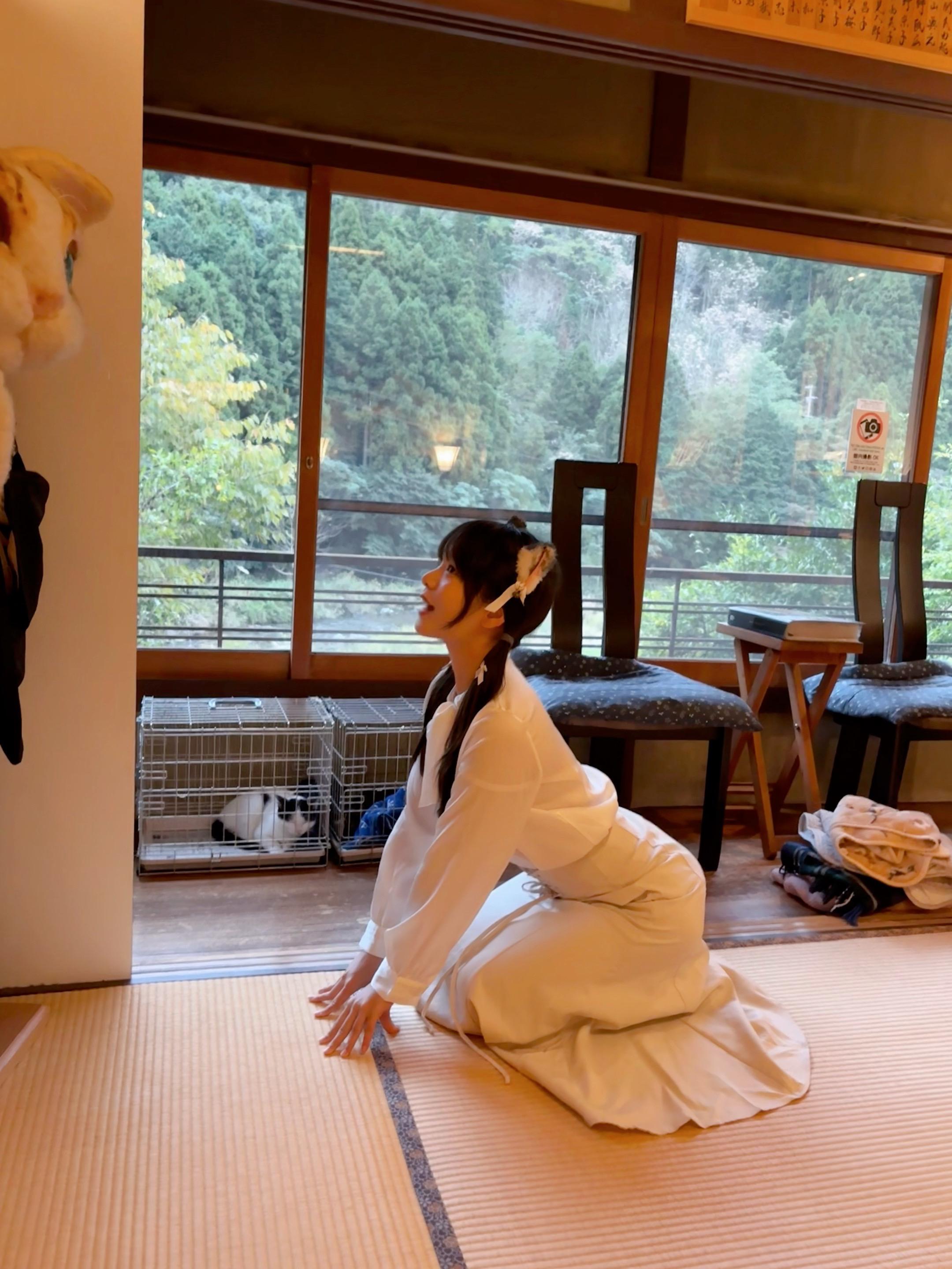 是当猫咪的一天啦。来到猫猫的地盘，当然要当猫啦