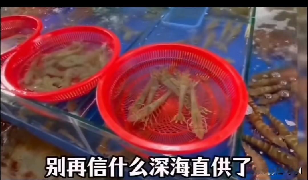 现在什么还能吃，大虾是深海的吗？别再幻想了，都是养殖大户提供的虾，很多虾壳还是软