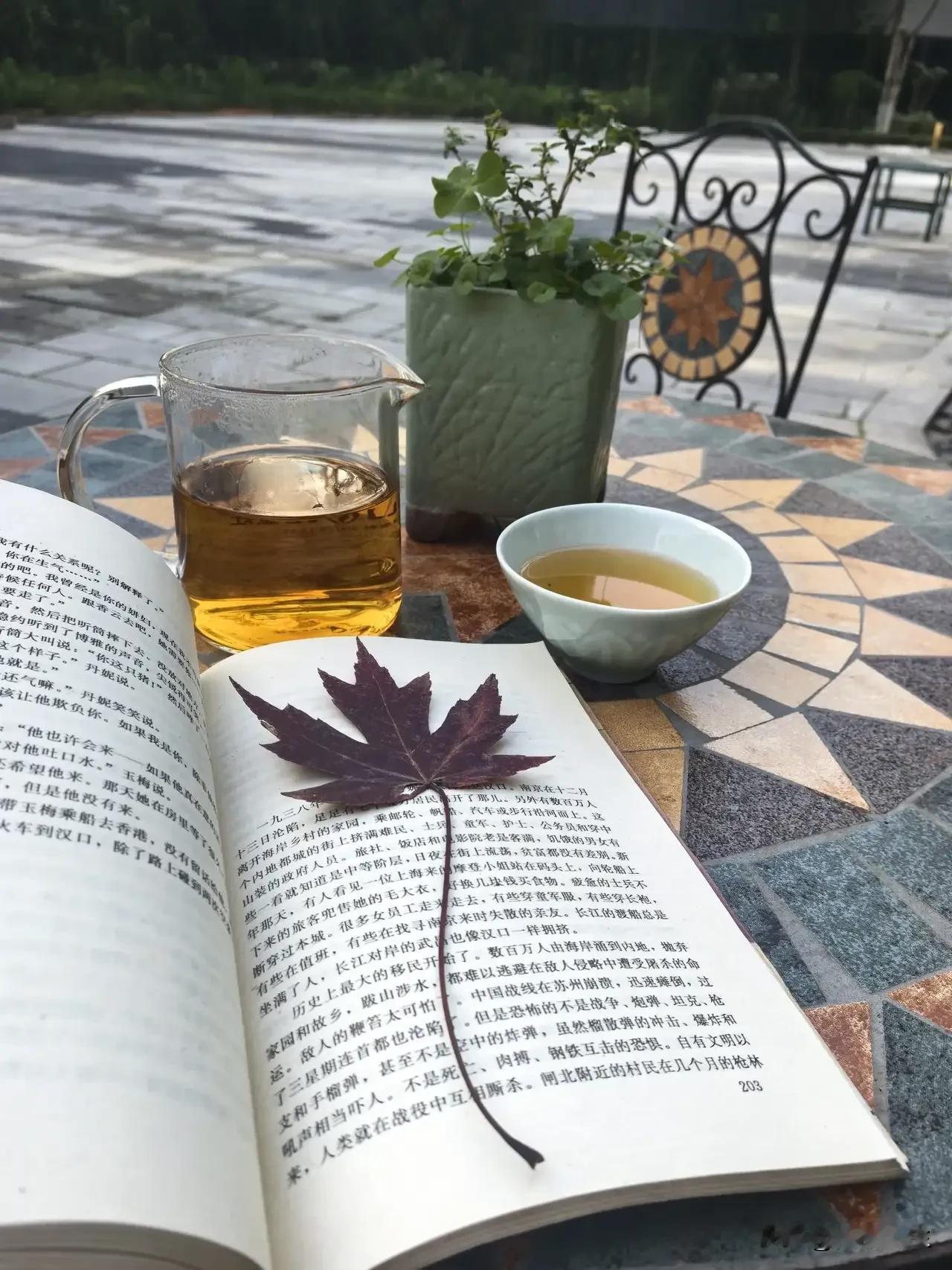 慢下来，用心去享受这惬意的品茶时光茶生活🍵