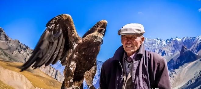 2021年9月的草原午后，巴特尔刚把奶茶端上桌，就看见那只金雕俯冲下来。爪子